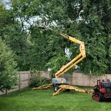 Best Tree Planting Services  in Cypress Quarters, FL